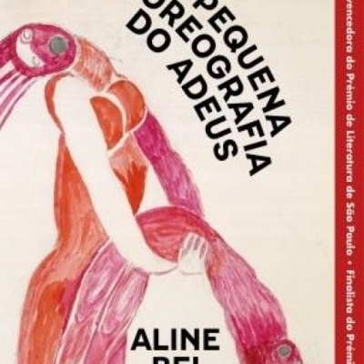 Capa de livro com ilustração em tons de rosa e vermelho e texto preto e branco