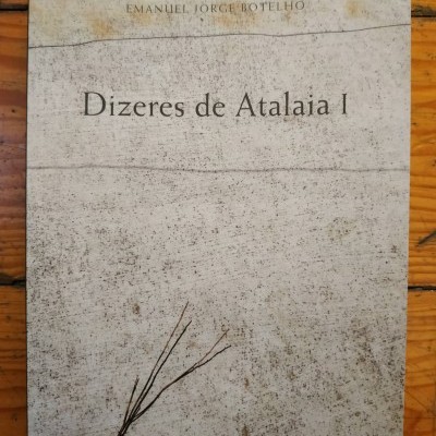 Capa de livro cinzenta com título e autor e desenho de ramo sobre madeira clara