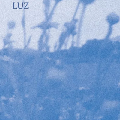 Capa de livro azul com título Dobras de Luz e fundo de flores desfocadas