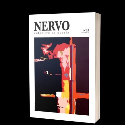 Livro NERVO coletivo de poesia N°23 com capa abstrata colorida