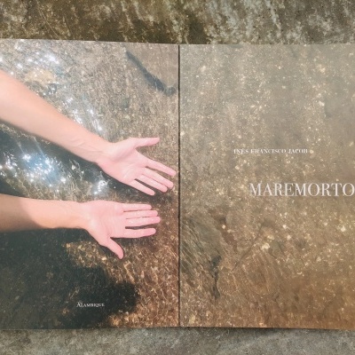 Dois panfletos com imagens aquáticas e texto sobre superfície rochosa