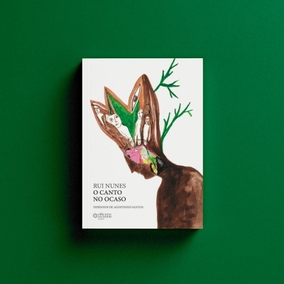 Capa de livro com ilustração e texto
