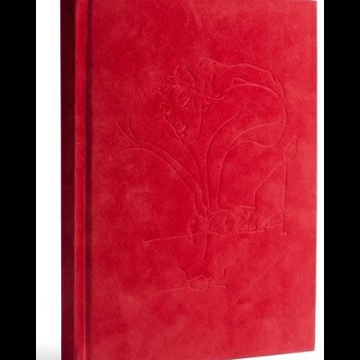 Livro ou caderno com capa vermelha aveludada e relevo com figura humana e planta