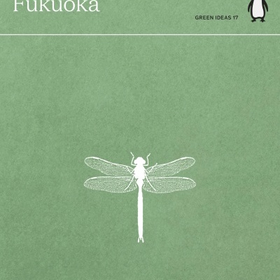 Capa de livro verde com ilustração de libélula e texto do título e autor