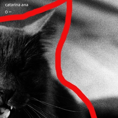 Capa de livro com fotografia a preto e branco de um gato e texto em branco no canto superior esquerdo