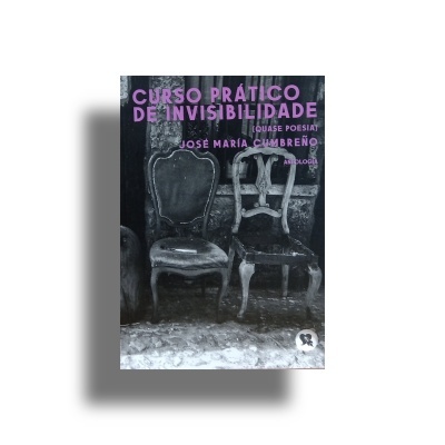 Capa de livro com duas cadeiras antigas e texto em cor-de-rosa