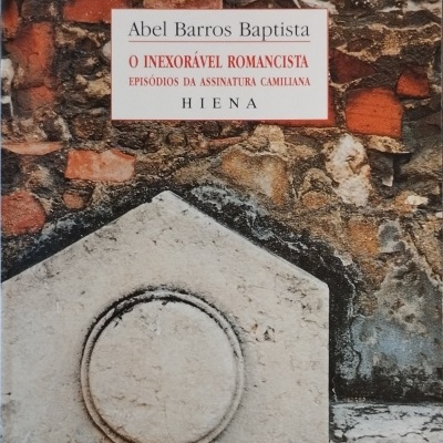 Capa de livro com textura rústica de parede e título em destaque