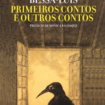 Capa de livro com pássaro preto numa janela aberta e texto do título e autor.