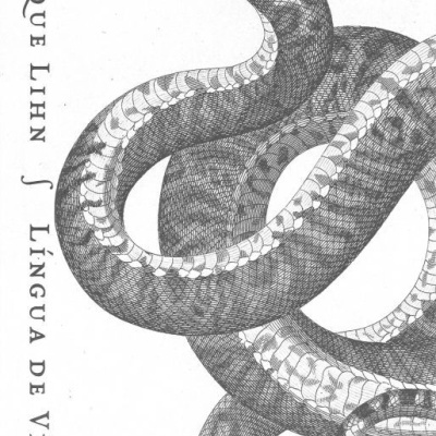 Capa de livro com ilustração de cobra em preto e branco e texto vertical.