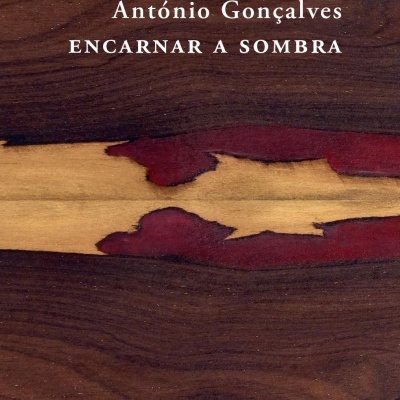 Capa de livro com textura de madeira e texto branco