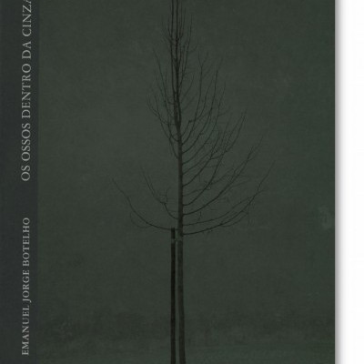 Capa de livro cinzenta com árvore sem folhas e texto branco vertical à esquerda.