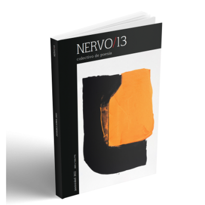 Livro NERVO/13 com capa preta, branca e detalhe laranja abstrato