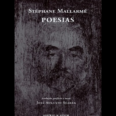 Capa de livro com texto e ilustração texturizada em preto e cinzento