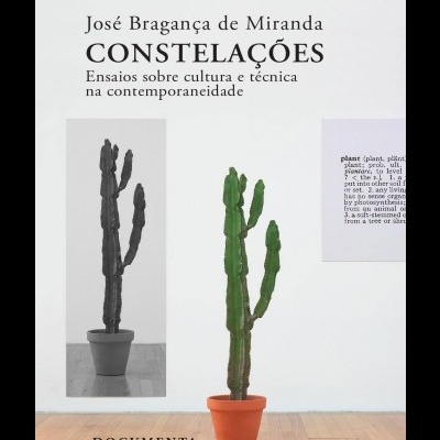 Capa do livro 'CONSTELAÇÕES' com imagem de cacto em vaso de barro e texto explicativo.