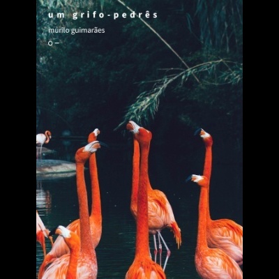 Livro 'um grifo-pedrês' com imagem de flamingos à beira de água