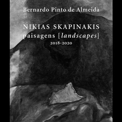 Capa de livro com pintura abstrata em tons de cinza e texto branco