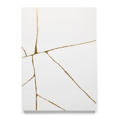 Caderno branco com linhas douradas em padrão rachado