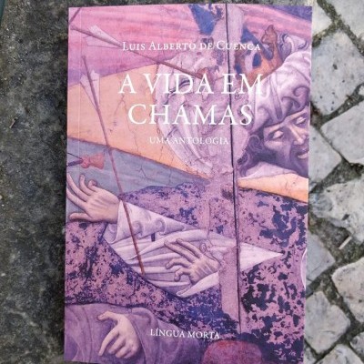 Livro A Vida em Chamas de Luis Alberto de Cuenca sobre pedra rugosa