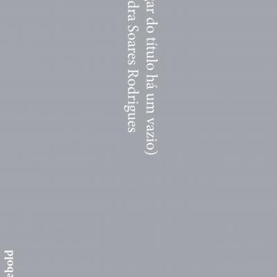 Capa de livro cinza com texto branco vertical