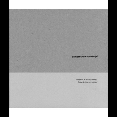 Capa de livro cinzenta com texto em preto