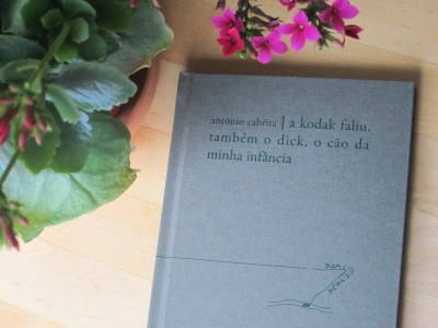 Livro com capa cinzenta dura ao lado de planta com flores cor-de-rosa num vaso de barro