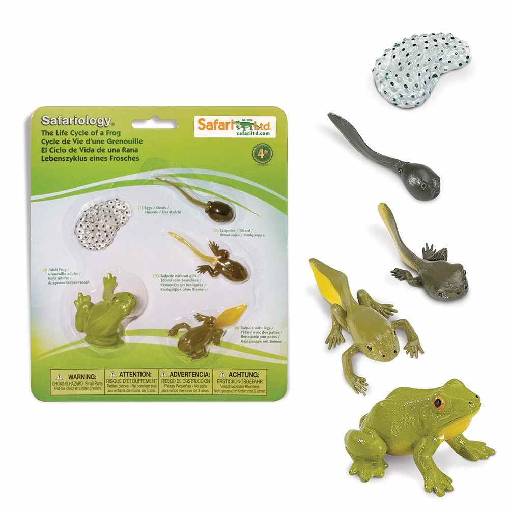 Kit educativo de figuras de plástico mostrando o ciclo de vida do sapo embalado numa embalagem verde Safari Ltd Safarology