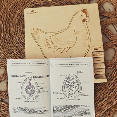 Quebra-cabeças de madeira em forma de galinha sobre tapete de fibras naturais com livro aberto de esquemas do ovo.