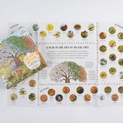 Folha informativa e livro ilustrado sobre o ciclo anual da vida de um carvalho.