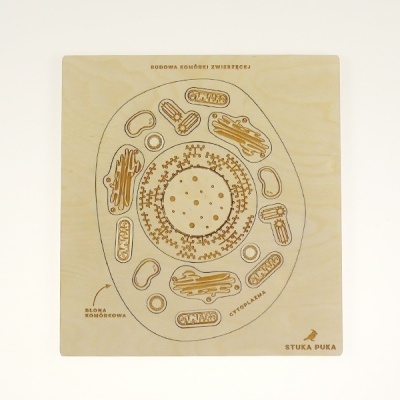 Puzzle educativo em madeira com desenho de célula animal e texto em polaco