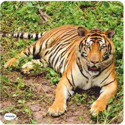 Pano com estampa realista de tigre deitado na relva