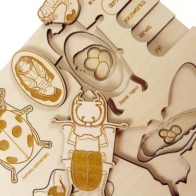 Quebra-cabeça educativo de madeira com fases de desenvolvimento de inseto em português.