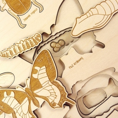 Puzzle de madeira ciclo de vida de inseto com figuras em tons de castanho e creme e texto em grego