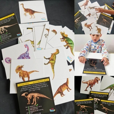 Cartas educativas de dinossauros coloridos e esqueletos com texto científico em português