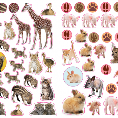 autocolantes de animais selvagens e domésticos com pegadas e símbolos de alerta