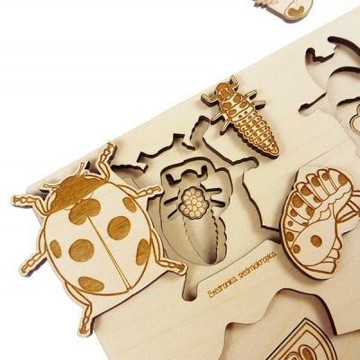 Puzzle educativo de madeira com peças de insectos recortados