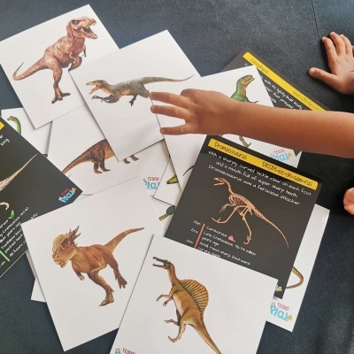 Cartões educativos com imagens de dinossauros e texto explicativo