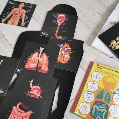 Ilustrações educativas do corpo humano e livros em chão claro