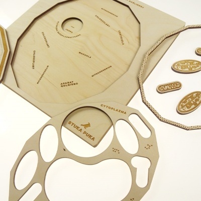 Peças de madeira gravadas com texto científico em português, dispostas sobre uma superfície clara.