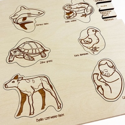 Placa de madeira com ilustrações gravadas de vários animais e texto em polaco.