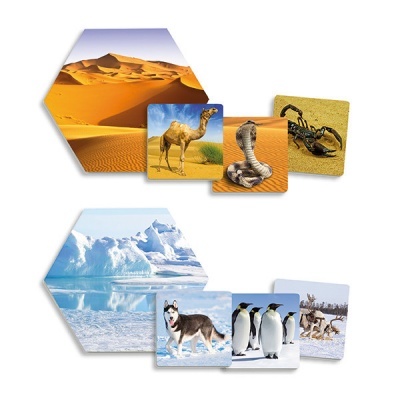 Conjunto de quadros decorativos com imagens do deserto e do Ártico