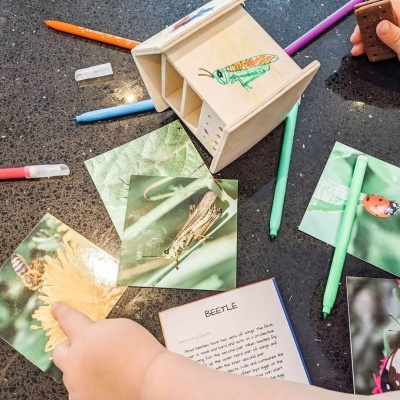 Cartões com fotos de insetos, lápis de cor e porta-lápis de madeira com desenho de inseto sobre mesa escura.
