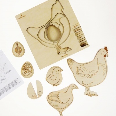 Peças educativas em madeira que mostram diferentes fases da vida da galinha em recortes