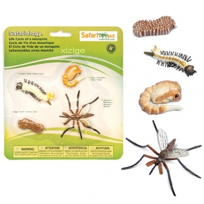 Conjunto de figuras em plástico representando o ciclo de vida do mosquito com embalagem verde da Safari Ltd.