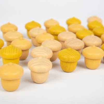 Cogumelos de madeira amarelos e naturais alinhados em fundo branco