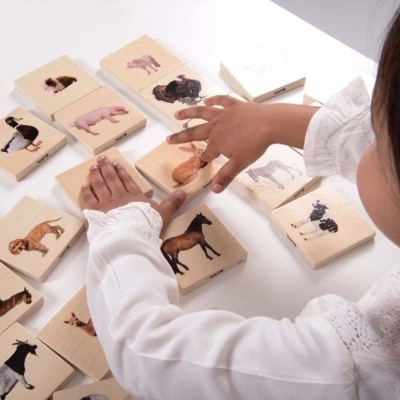 Jogo de dominó de peças de madeira com imagens de animais sendo jogado por uma criança