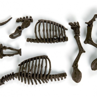 Peças de esqueleto de dinossauro falso em marrom escuro sobre fundo branco