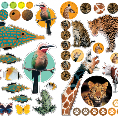 Coleção de autocolantes de animais diversos sobre fundo branco