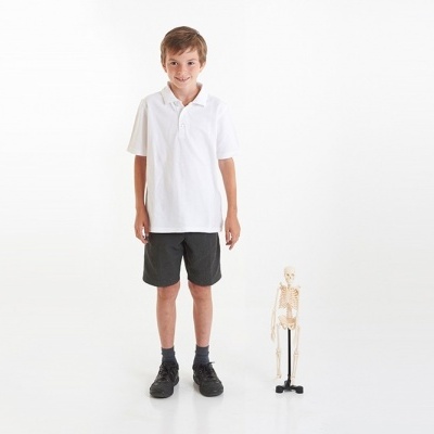 Menino com roupa casual branca e preta ao lado de modelo anatómico de esqueleto em fundo branco