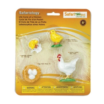 Conjunto de figuras Lifecycle of a Chicken em embalagem amarela