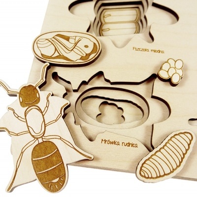 Jogo educativo de madeira com peças de formiga, larva e ficha oval detalhadas a laser